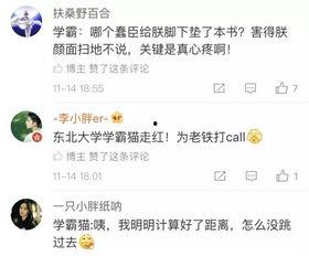 学霸网红的小说,从小说世界到现实巅峰