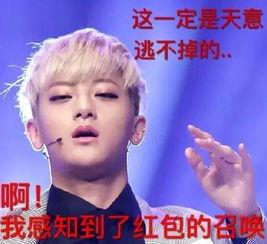 制作明星表情包,轻松打造个性潮流表情包