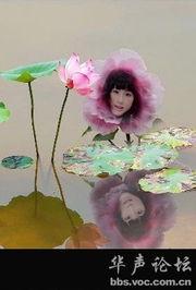 孤独的牧羊人搞笑